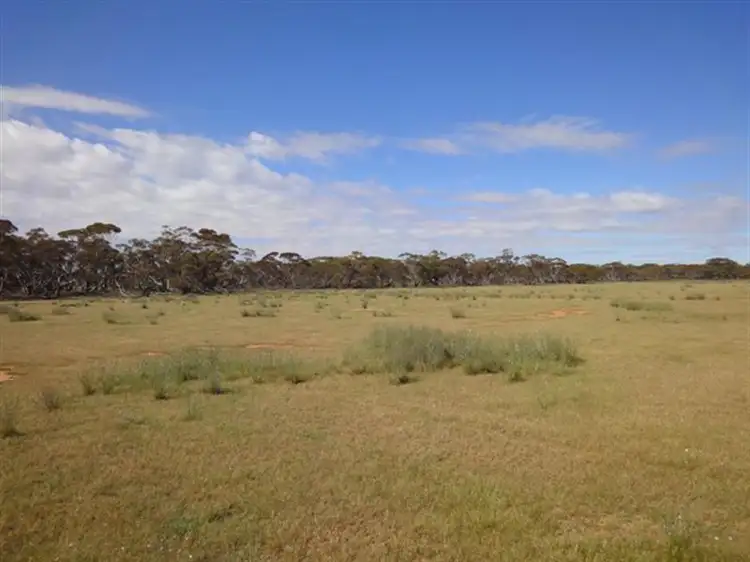 Main view of Homely rural property listing, "Ragless" Mallett and Ragless Roads, Hallett SA 5419