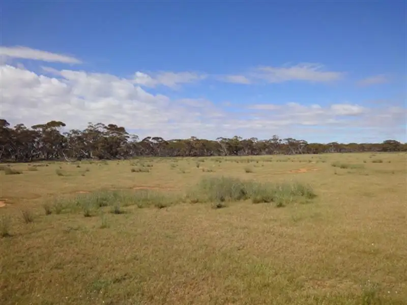 Main view of Homely rural property listing, "Ragless" Mallett and Ragless Roads, Hallett SA 5419