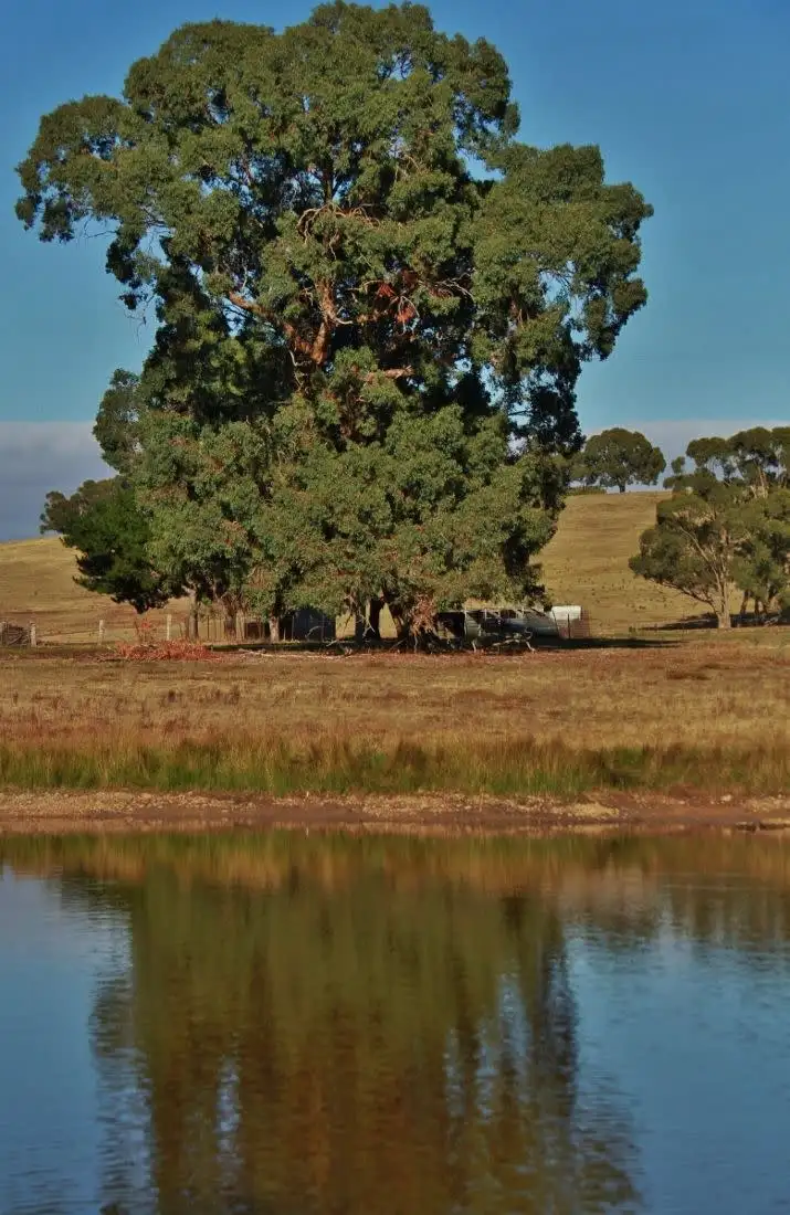 Main view of Homely land listing, Lot 4 Plantation Road, Heathcote VIC 3523