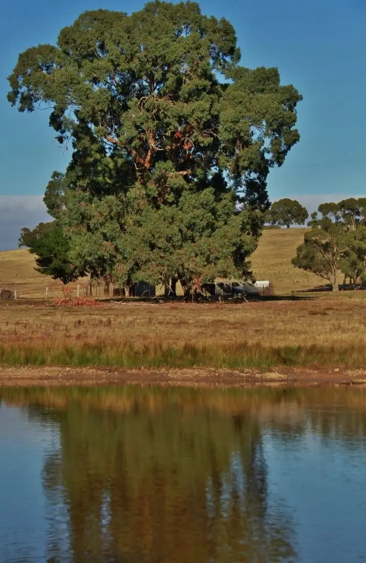 Main view of Homely land listing, Lot 4 Plantation Road, Heathcote VIC 3523