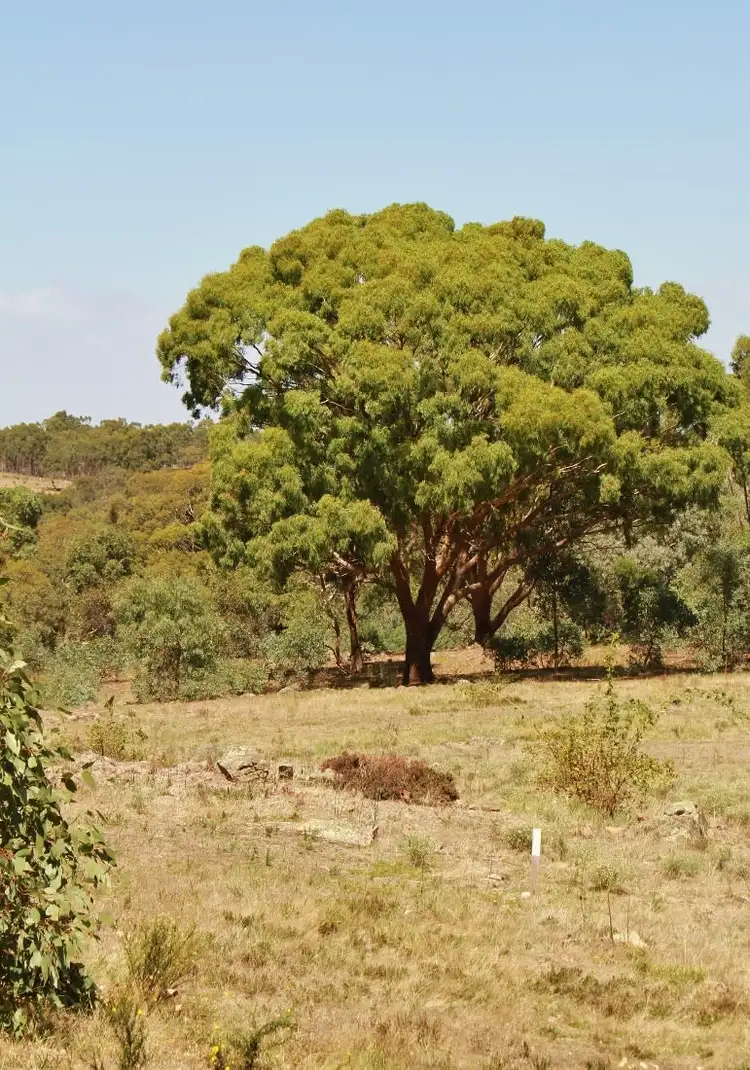Third view of Homely land listing, CA 30a, CA 30 Potters Lane, Heathcote VIC 3523