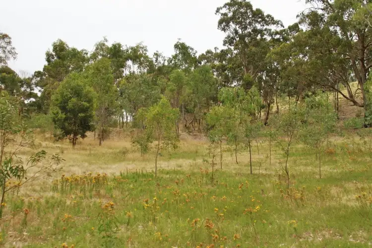 Fourth view of Homely land listing, CA B16E Potters Lane, Heathcote VIC 3523