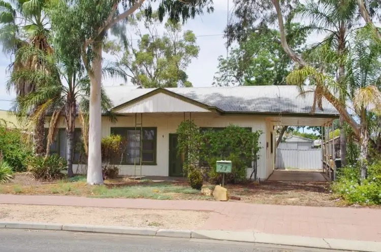 77 Murtho Street, Renmark SA 5341