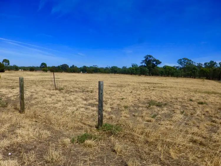 Main view of Homely rural property listing, 1250 Picola Barmah Road, Barmah VIC 3639