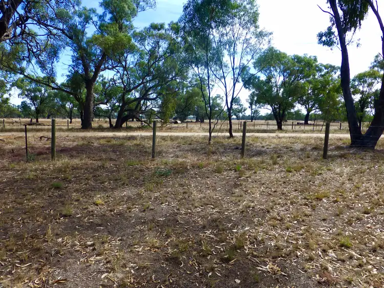 Fifth view of Homely rural property listing, 1250 Picola Barmah Road, Barmah VIC 3639
