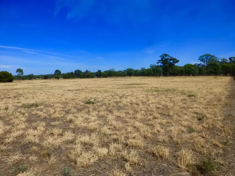 Sixth view of Homely rural property listing, 1250 Picola Barmah Road, Barmah VIC 3639