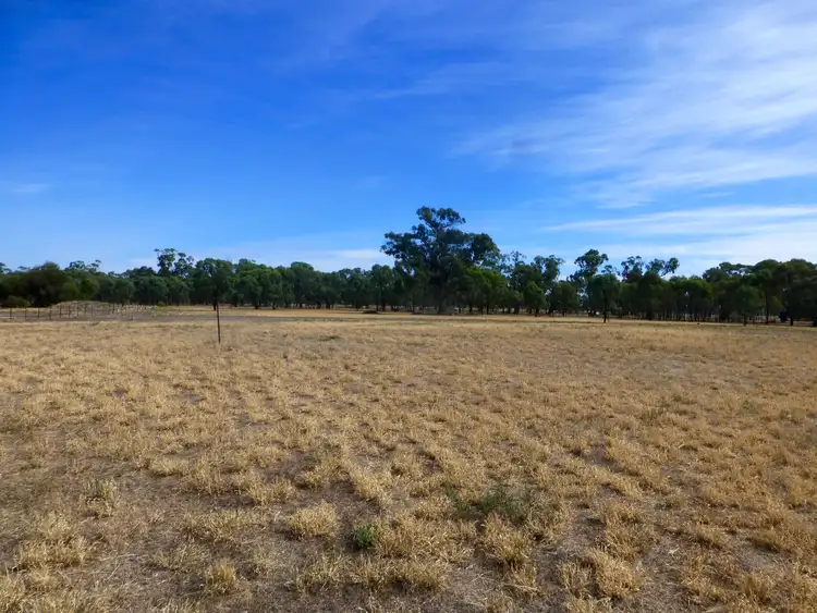 Seventh view of Homely rural property listing, 1250 Picola Barmah Road, Barmah VIC 3639