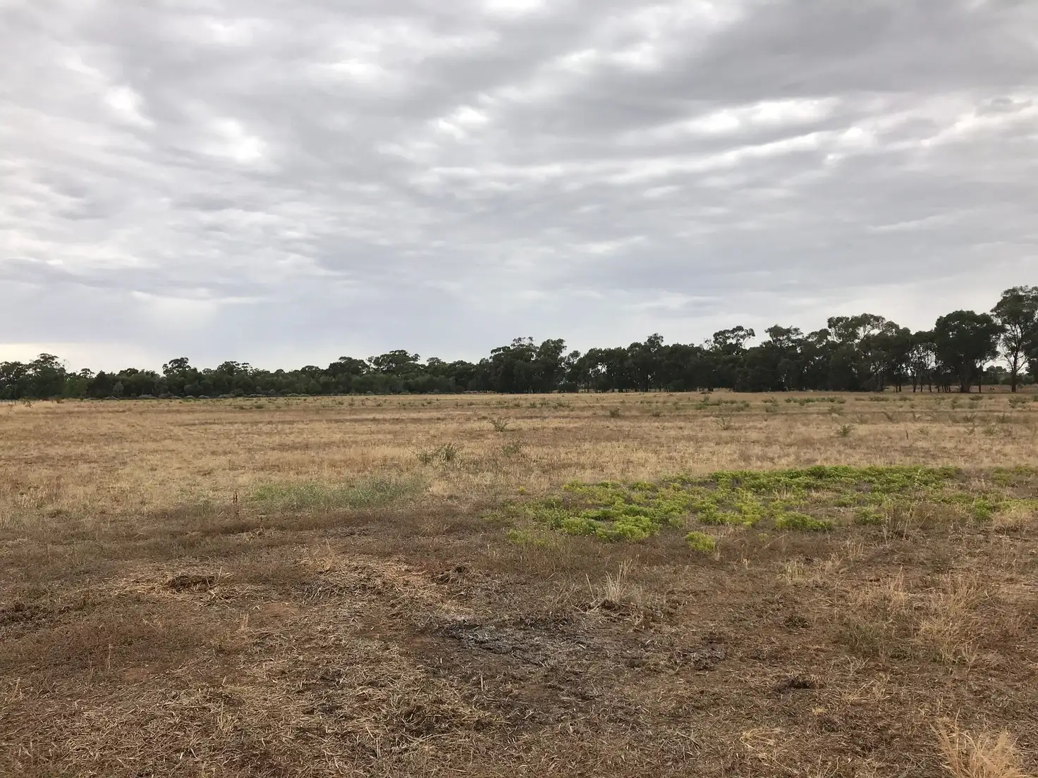 Main view of Homely land listing, 54 Cobrawonga Road, Cobram East VIC 3644