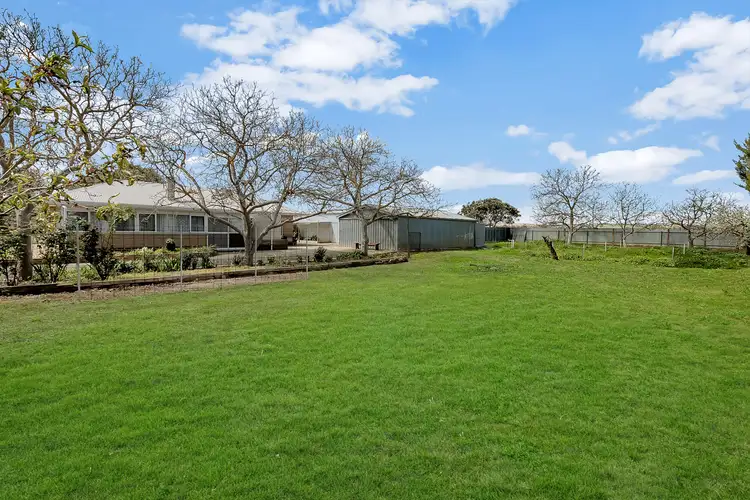 3 Auguste Street, Nuriootpa SA 5355