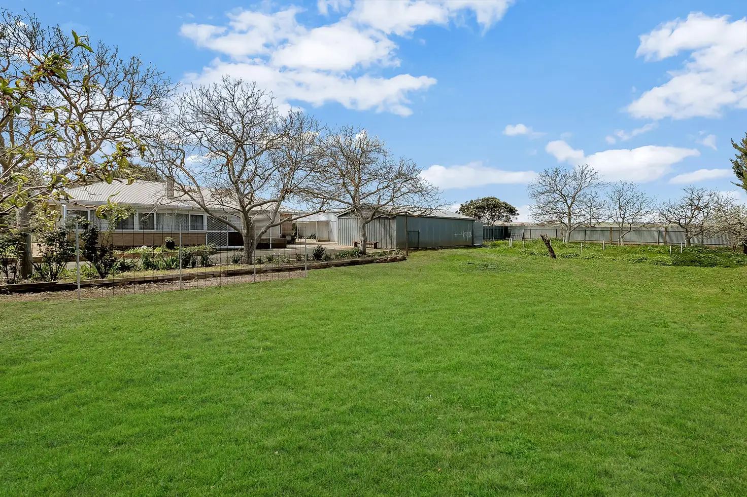 Main view of Homely land listing, 3 Auguste Street, Nuriootpa SA 5355