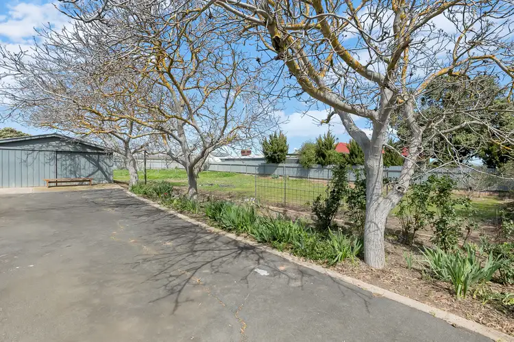 Second view of Homely land listing, 3 Auguste Street, Nuriootpa SA 5355