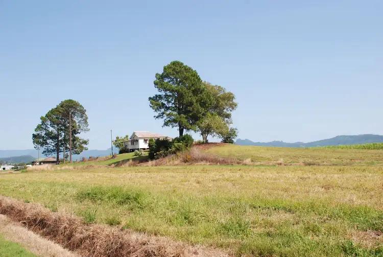163 Reserve Creek Road, South Murwillumbah NSW 2484