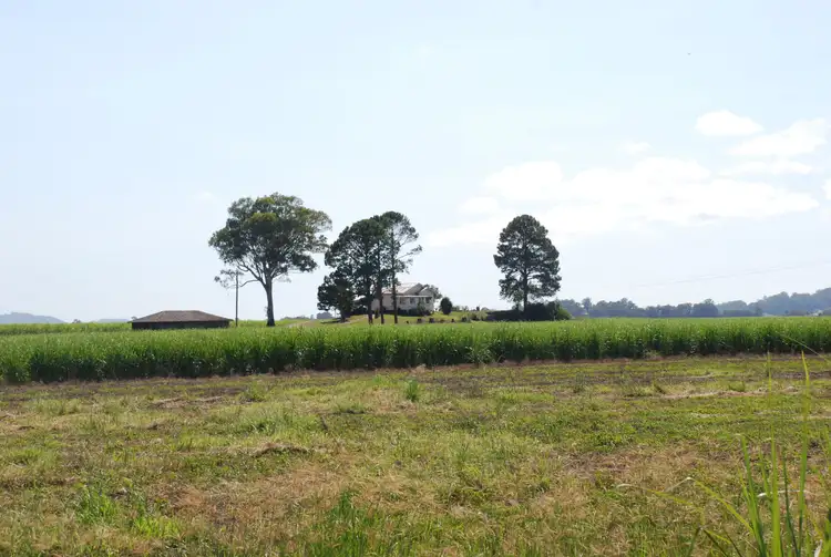 Sixth view of Homely rural property listing, 163 Reserve Creek Road, South Murwillumbah NSW 2484