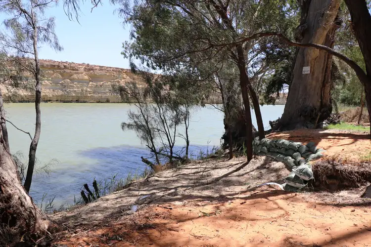 Third view of Homely house listing, Lot 257 Old Cadell Road, Morgan SA 5320