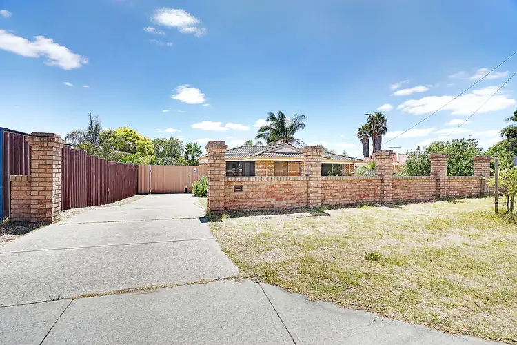 31 Mottlecah Way, Mirrabooka WA 6061