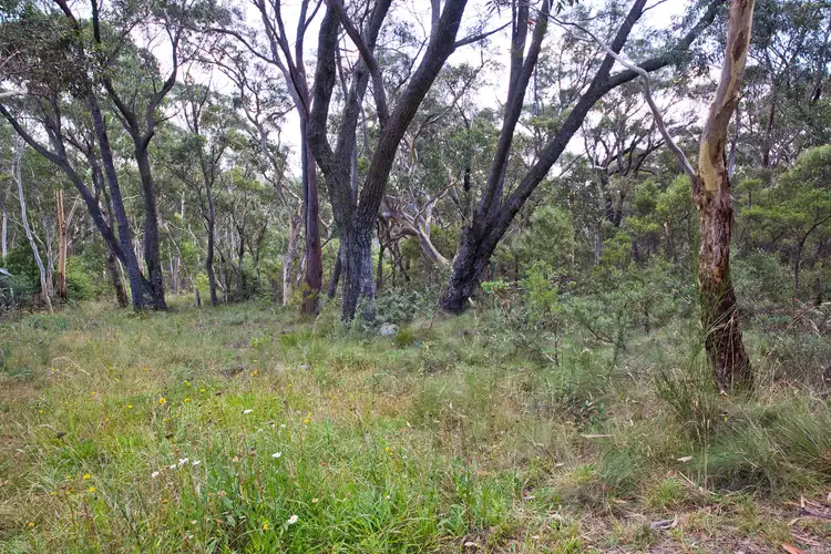 Third view of Homely land listing, 24 Godson Ave (Block 2), Blackheath NSW 2785