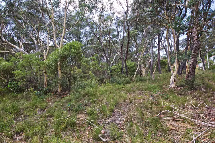Fifth view of Homely land listing, 24 Godson Ave (Block 2), Blackheath NSW 2785