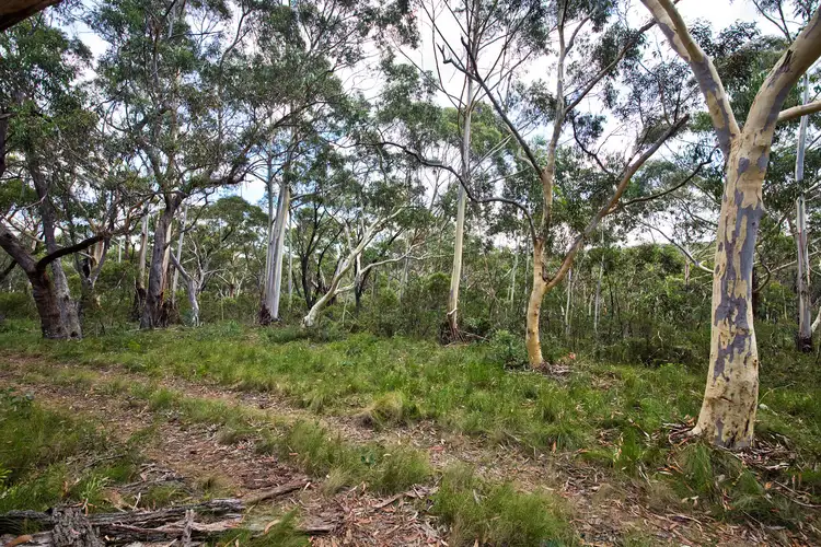 Fifth view of Homely land listing, 48 Godson Ave (Block 5), Blackheath NSW 2785