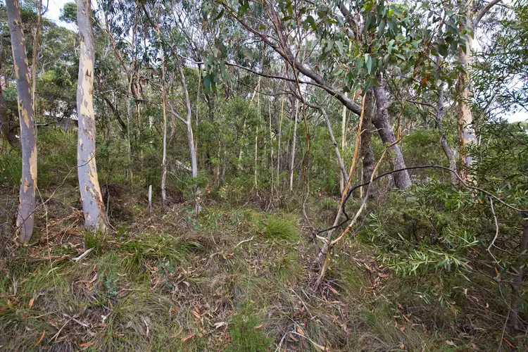 Fourth view of Homely land listing, 14 Godson Ave (Block 1), Blackheath NSW 2785
