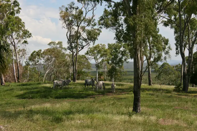 Sixth view of Homely land listing, 896 Sarina Beach Road, Sarina Beach QLD 4737