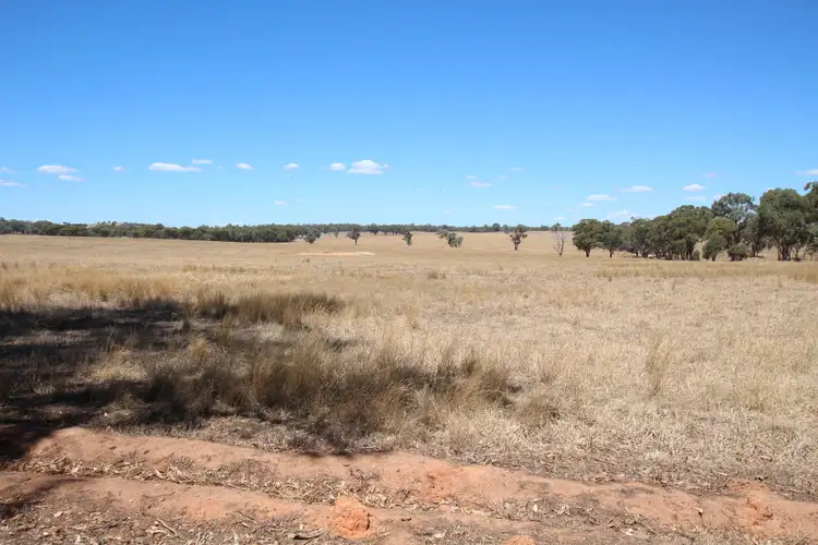 Fourth view of Homely rural property listing, 00 Vickers Road, Colbinabbin VIC 3559