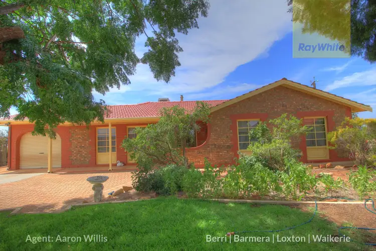 63 Gray Road, Moorook SA 5332