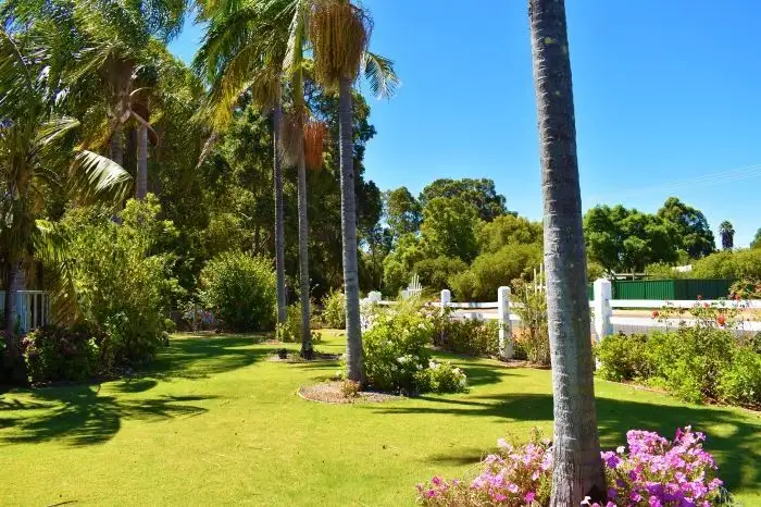 Main view of Homely house listing, 20 Walter Street, Nannup WA 6275