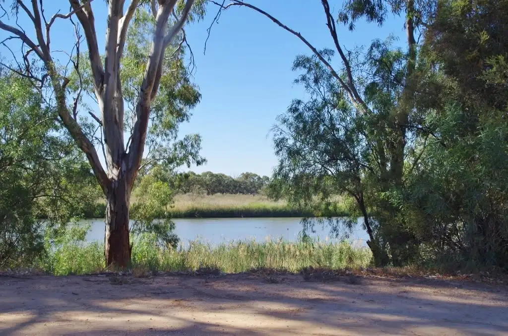 Main view of Homely house listing, 4 Sorrento Court, Renmark SA 5341