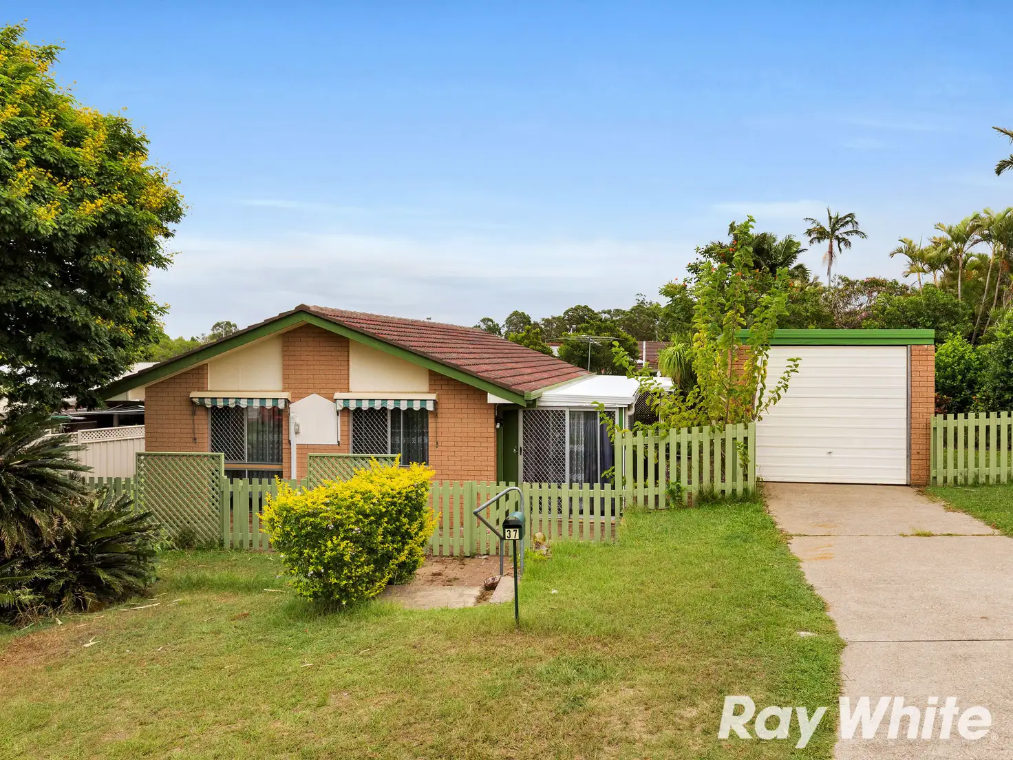 Main view of Homely house listing, 37 Macaranga Street, Algester QLD 4115