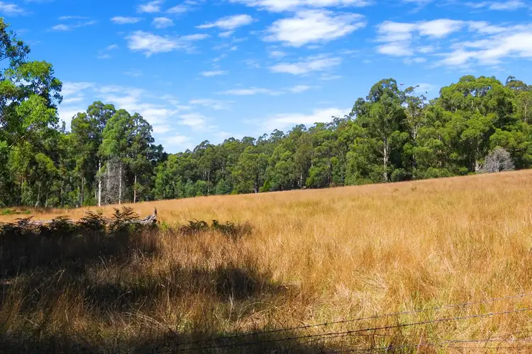 280 Mount Baw Baw Road, Noojee VIC 3833