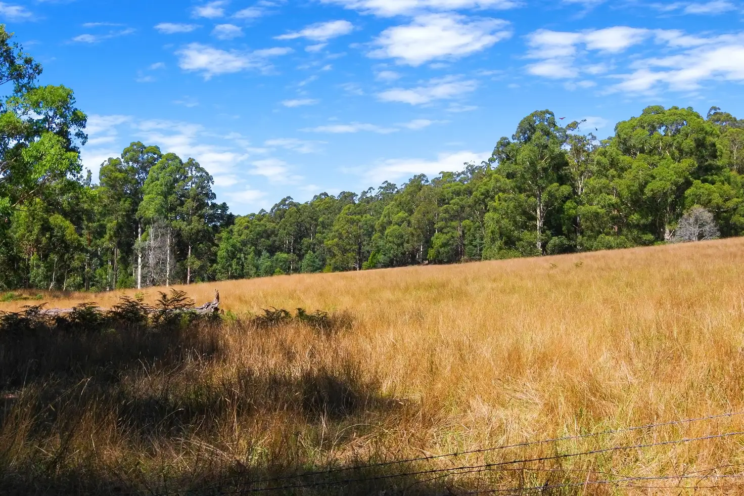 Main view of Homely land listing, 280 Mount Baw Baw Road, Noojee VIC 3833