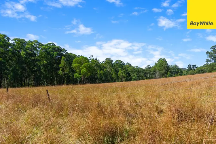 Fourth view of Homely land listing, 280 Mount Baw Baw Road, Noojee VIC 3833