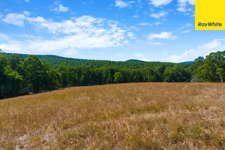 Fifth view of Homely land listing, 280 Mount Baw Baw Road, Noojee VIC 3833