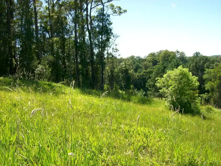 Sixth view of Homely land listing, 16 Ironbark Place, Bellingen NSW 2454