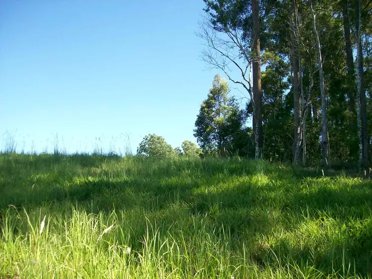 Seventh view of Homely land listing, 16 Ironbark Place, Bellingen NSW 2454