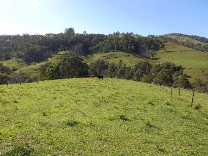 Main view of Homely rural property listing, 3322 Mirannie Road, Singleton NSW 2330