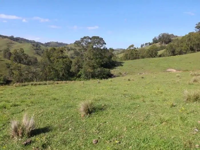 Second view of Homely rural property listing, 3322 Mirannie Road, Singleton NSW 2330