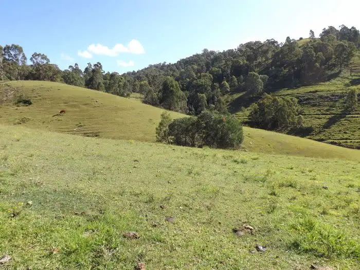 Third view of Homely rural property listing, 3322 Mirannie Road, Singleton NSW 2330