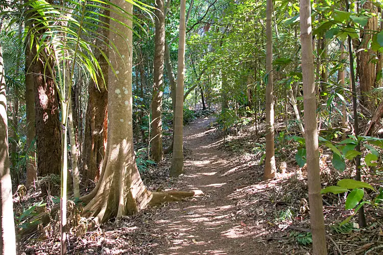 Main view of Homely rural property listing, 29 Garden of Eden Road, Tomewin NSW 2484
