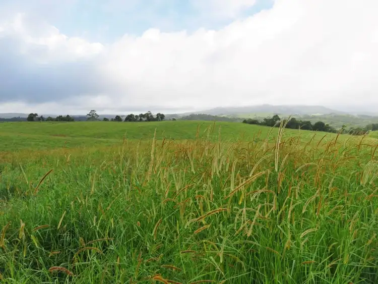 Second view of Homely rural property listing, Address available on request