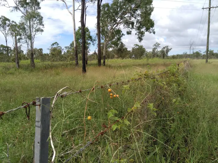 832 Black River Road, Black River QLD 4818