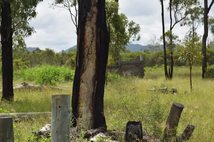 Fourth view of Homely land listing, 832 Black River Road, Black River QLD 4818