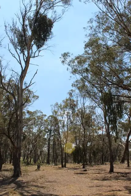 Fourth view of Homely rural property listing, 1200 Swallows Nest Road, Oberon NSW 2787