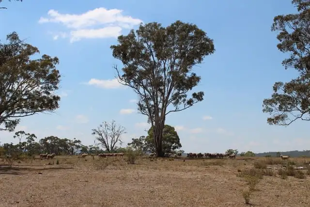 Fifth view of Homely rural property listing, 1200 Swallows Nest Road, Oberon NSW 2787