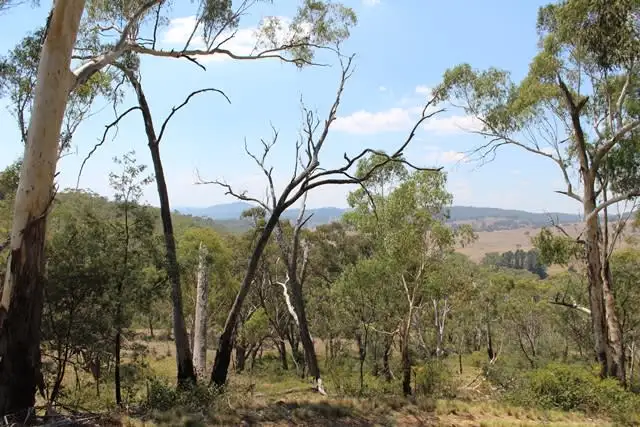 Seventh view of Homely rural property listing, 1200 Swallows Nest Road, Oberon NSW 2787