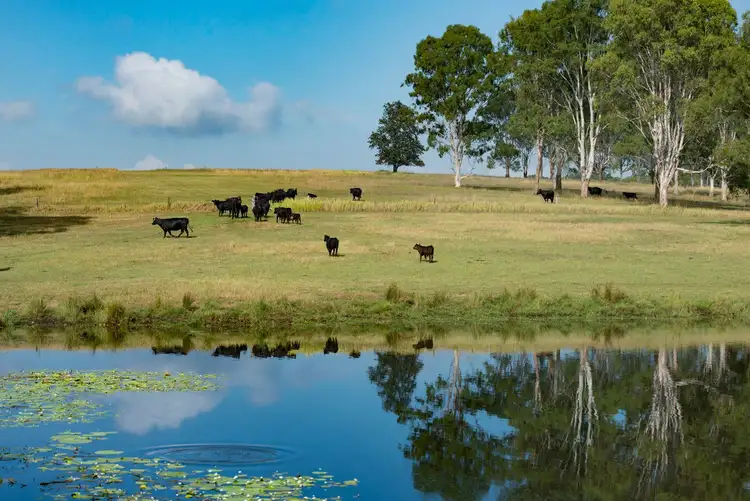 Seventh view of Homely rural property listing, 382 Villeneuve Road, Royston QLD 4515