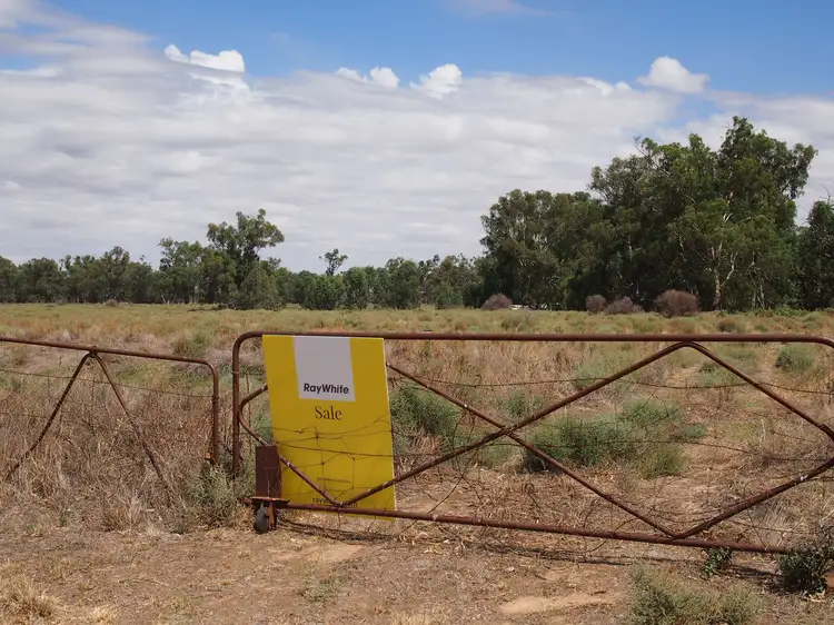 374 North Forbes Road, Condobolin NSW 2877