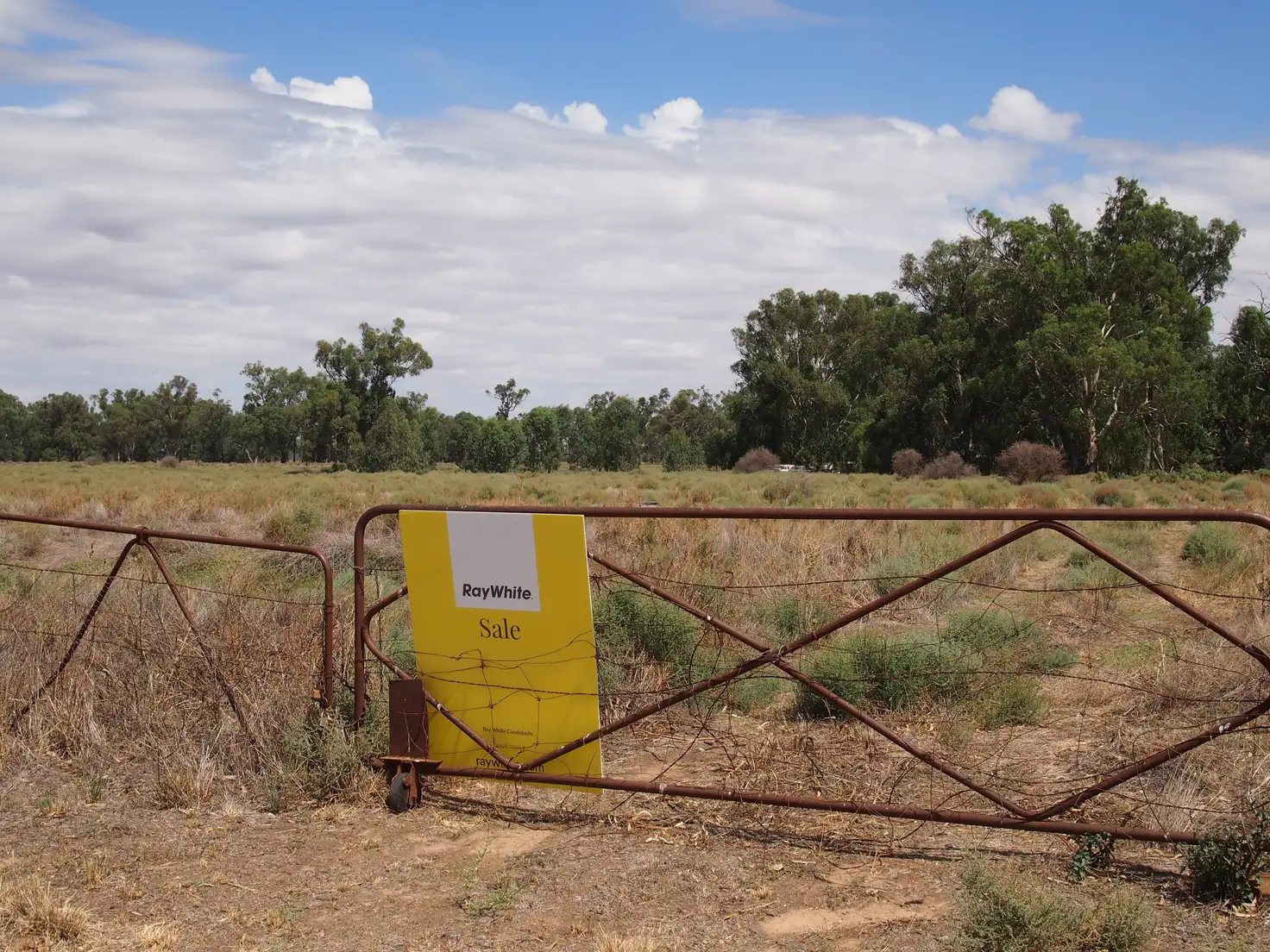 Main view of Homely land listing, 374 North Forbes Road, Condobolin NSW 2877