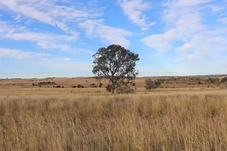 Main view of Homely rural property listing, 2415 Proston- Boondooma Road, Brigooda QLD 4613