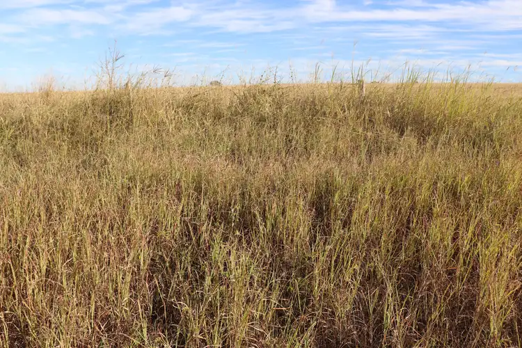 Fourth view of Homely rural property listing, 2415 Proston- Boondooma Road, Brigooda QLD 4613